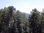 meeting space smoky mountains